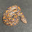Thumbnail: Kenyan Sand Boa (Female - ID: 24IK16F)