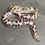 Thumbnail: Anery (HRP X Anery) Kenyan Sand Boa (Male- ID: 24JC9M)