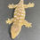 Thumbnail: Moro Leachianus Gecko (Female ID: 21AL1F)