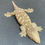 Thumbnail: Moro Leachianus Gecko (Female ID: 23IN1F)