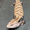 Thumbnail: Merauke Blue Tongue Skink (ID: 24CT4) - Captive Bred!