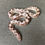 Thumbnail: HRP Anery X Anery Kenyan Sand Boa (Female - ID: 23JE4F)
