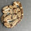 Thumbnail: Peruvian long-tail boa (B. c. longicauda - Male ID: 25DS14M)