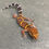 Thumbnail: Bawangling Cave Gecko (Male - ID: 24JP1M)