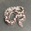 Thumbnail: Anery (HRP X Anery) Kenyan Sand Boa (Female - ID: 24JC4F)