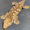Thumbnail: Nuu Ana Leachianus Gecko (ID: 23HU1F)