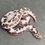 Thumbnail: Anery Kenyan Sand Boa (Male - ID: 25D4M)