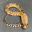 Thumbnail: False Water Cobra (Hydrodynastes gigas - Male ID: 25DM6M) - No Utah Sales