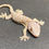 Thumbnail: Captive Bred Tokay Gecko (Male ID: 24KJ2M)