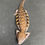Thumbnail: Northern Blue Tongue Skink (ID: 25S10)