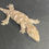 Thumbnail: Nuu Ana Leachianus Gecko (ID: 24EL2F)