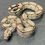 Thumbnail: Arabesque Poss. Het. Albino (Boa imperator - Male ID: 25DB3M)