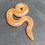 Thumbnail: Albino Striped Paradox Kenyan Sand Boa (Male- ID: 24JF4M)