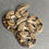 Thumbnail: Peruvian long-tail boa (B. c. longicauda - Male ID: 25ES6M)
