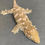 Thumbnail: Nuu Ana Leachianus Gecko (Female ID: 23HU2F)