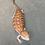 Thumbnail: Northern Blue Tongue Skink (ID: 25AE2)