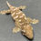Thumbnail: Moro Leachianus Gecko (Female ID: 23JA1F)