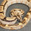 Thumbnail: Peruvian long-tail boa (B. c. longicauda - Male ID: 25DS13M)