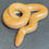 Thumbnail: Albino Het. Anery Sand Boa - Male- ID:22OZ8M