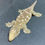 Thumbnail: Moro Leachianus Gecko (Female ID: 23HN2F)
