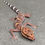 Thumbnail: Vietnamese Cave Gecko (Male - ID: 24CZ2M)