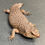 Thumbnail: Gidgee Skink (Egernia stokesii) Male - ID: 23IV1M