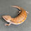 Thumbnail: Northern Blue Tongue Skink (ID: 25S7)