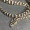 Thumbnail: Jungle Carpet Python (Female - ID: 25CJ4F)