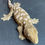 Thumbnail: Moro Leachianus Gecko (Female ID: 23GV2F)