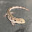 Thumbnail: Chinese crocodile lizard (Shinisaurus crocodilurus ID:25E1)