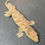 Thumbnail: Nuu Ana Leachianus Gecko (ID: 24JS2)