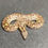 Thumbnail: Rough-scaled Sand Boa (Female - ID: 25BA1F)