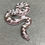 Thumbnail: Anery Kenyan Sand Boa (Female - ID: 24IZ6F)
