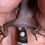 Thumbnail: Chinese Cave Gecko (ID: 25AZ1)
