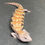Thumbnail: Northern Blue Tongue Skink (ID: 25AF5)