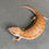 Thumbnail: Northern Blue Tongue Skink (ID: 25S7)