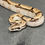 Thumbnail: Peruvian long-tail boa (B. c. longicauda - Male ID: 25DS13M)