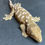 Thumbnail: Moro Leachianus Gecko (Female ID: 23GV2F)