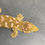 Thumbnail: Nuu Ana Leachianus Gecko (Female ID: 21BL2F)