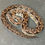 Thumbnail: Dumeril's Boa (Male ID: 24IN5M)