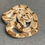 Thumbnail: Peruvian long-tail boa (B. c. longicauda - Male ID: 25DS8M)