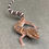 Thumbnail: Bawangling Cave Gecko (Female - ID: 24HQ1F
