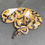 Thumbnail: Pied Ball Python (Male ID: 24GK4M)