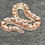 Thumbnail: HRP Anery X Anery Kenyan Sand Boa (Male - ID: 23JE6M)