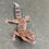 Thumbnail: Bawangling Cave Gecko (Male - ID: 24HQ2M)