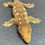 Thumbnail: Moro Leachianus Gecko (Female ID: 23F1F)