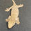 Thumbnail: Nuu Ana Leachianus Gecko (ID: 24GP2)