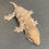 Thumbnail: Nuu Ana Leachianus Gecko (Female ID: 23IZ2F)
