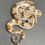 Thumbnail: Peruvian long-tail boa (B. c. longicauda - Male ID: 25DS13M)