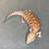 Thumbnail: Northern Blue Tongue Skink (ID: 25AE2)